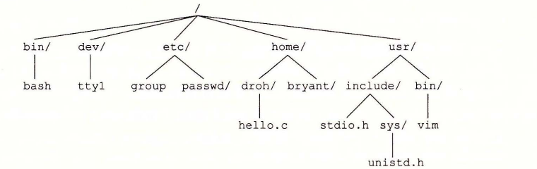 Linux 目录层次的一部分