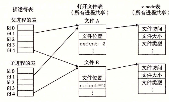子进程继承父进程的打开文件